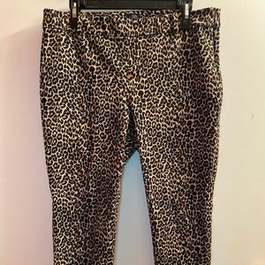 J.Crew Winnie Pant